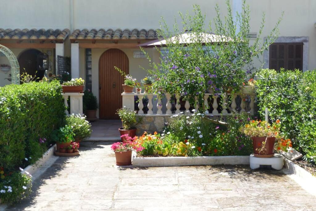 Casa Paraiso ซาโกมา ภายนอก รูปภาพ
